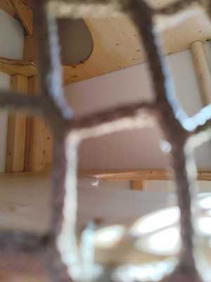 Kinderkrippe Sonnenglück Laufach