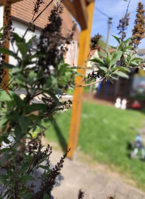 Kinderkrippe Sonnenglück Laufach