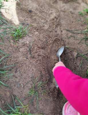 Kinderkrippe Sonnenglück Laufach