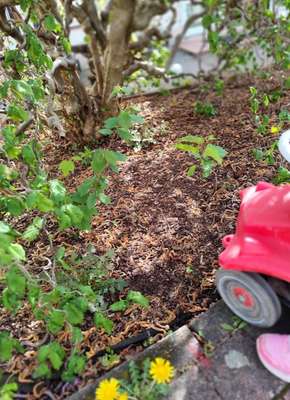 Kinderkrippe Sonnenglück Laufach