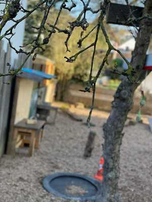 Kinderkrippe Sonnenschein Laufach