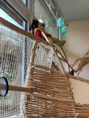 Kinderkrippe Sonnenschein Laufach