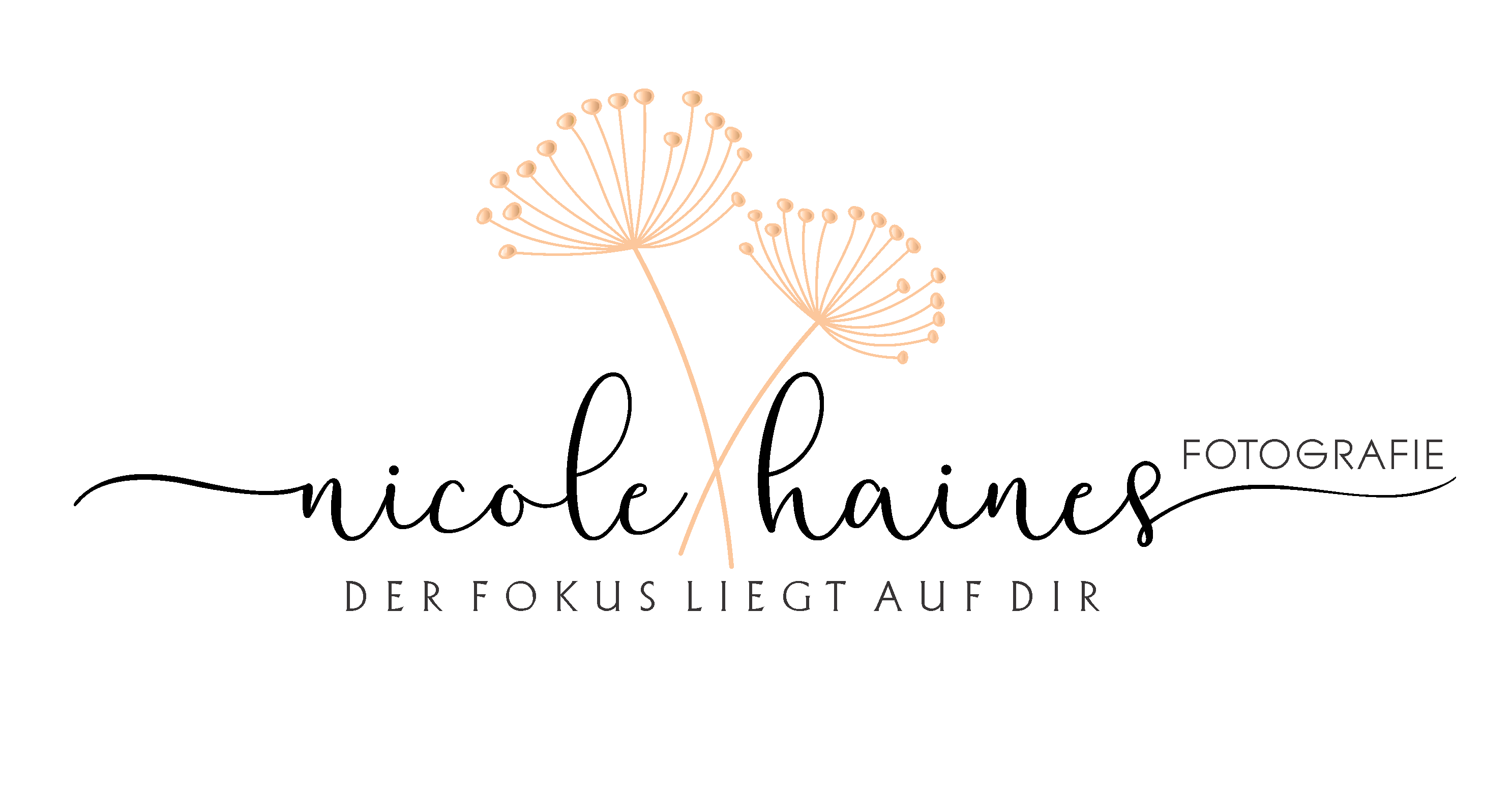 Nicole Haines Fotografie 