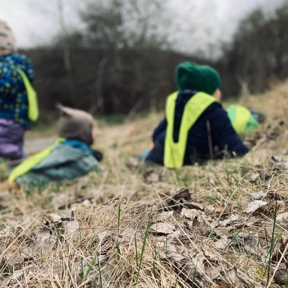 Kinder sitzen beobachtend in der Natur.
